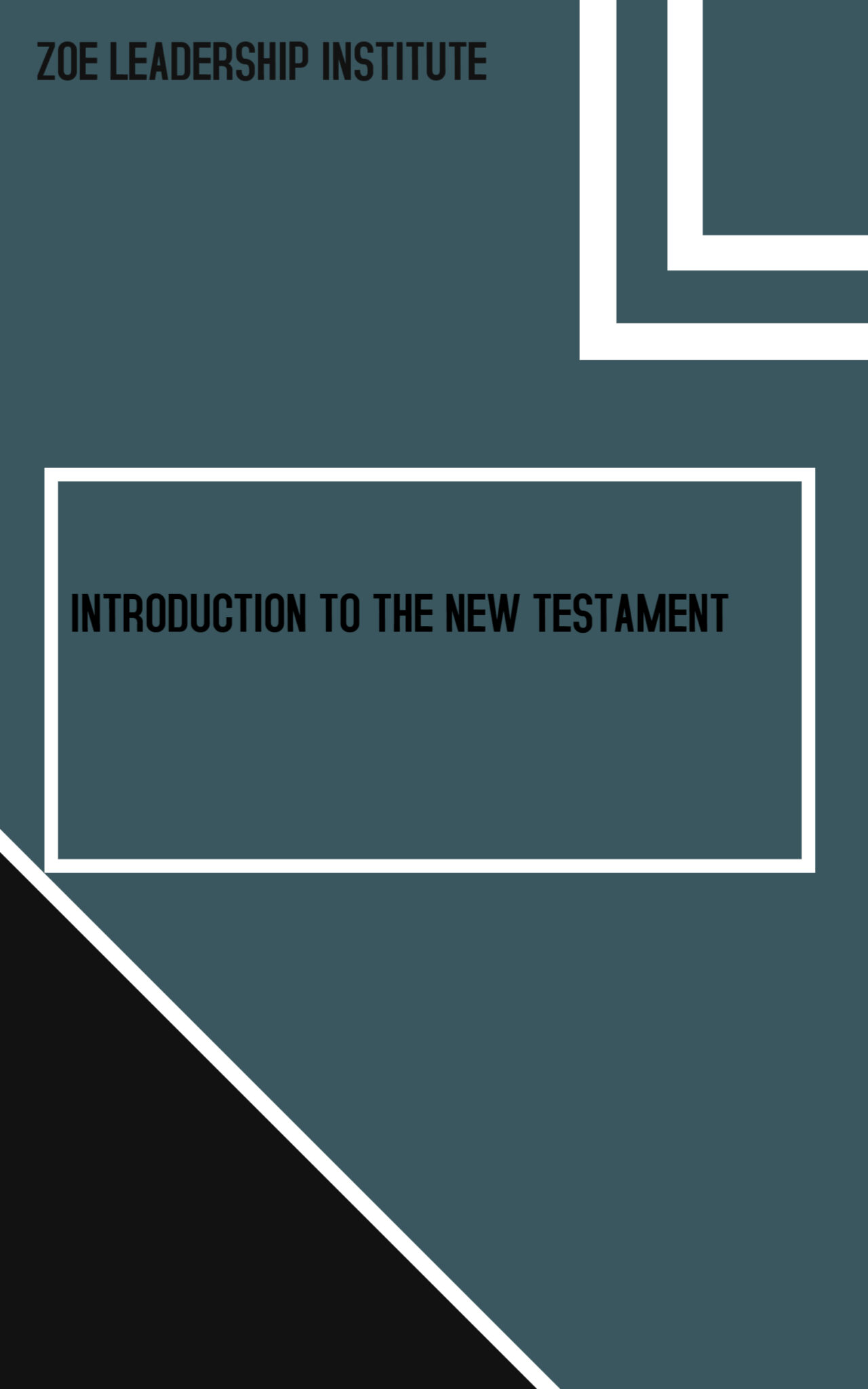 introduction-to-the-bible-new-testament-zoe-leadership-institute